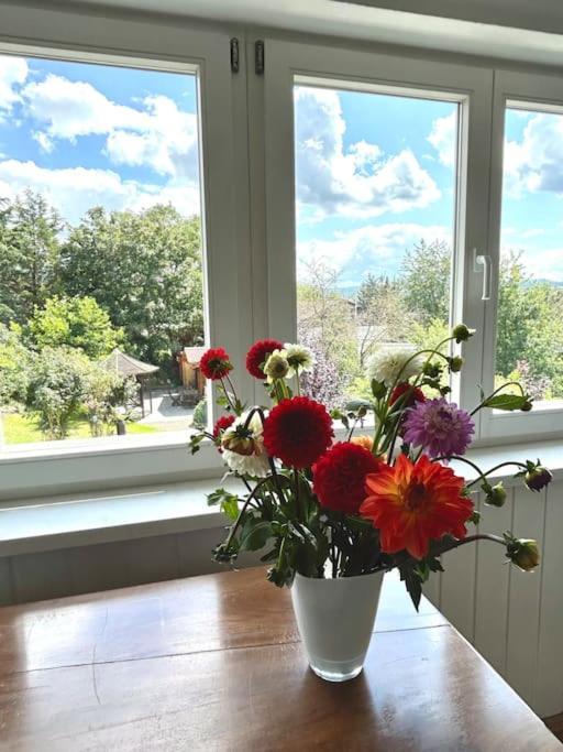 Sonnige Wohnung Am Lindenberg Lohfelden ภายนอก รูปภาพ